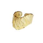 Asimenia-daxtylidia-epixrysa