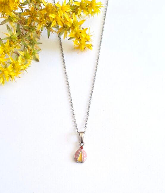 Paidiko-ashmenio-kolie