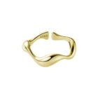 Kymatisto daxtylidi-ashmenio-Ariana